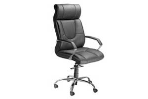 CEO Chairs Manufacturer in Gurgaon,  CEO Chairs Suppliers in Delhi, Noida - India